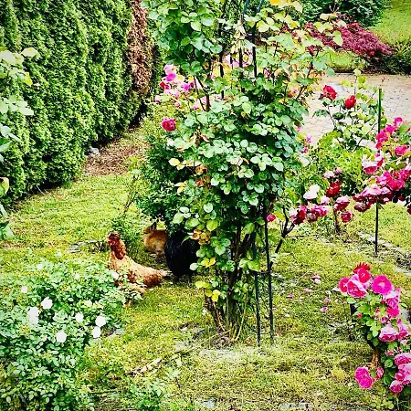 Bed & Breakfast Garni Haus Zanoni